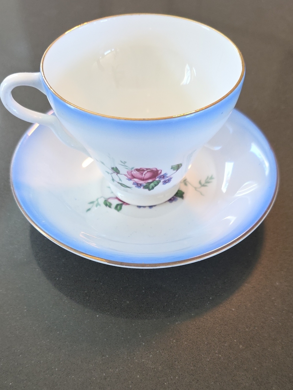 Blue Ombre Rose Porcelain Teacup and Saucer - Gold Trim